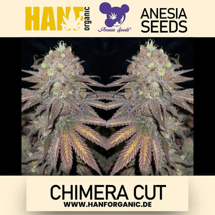 Anesia Seeds - Chimera Cut Fem