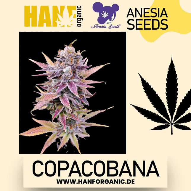 Anesia Seeds – Copacobana (Feminisiert)