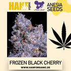 Anesia Seeds - Frozen Black Cherry Fem