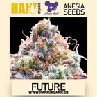 Anesia Seeds - Future 1 Fem