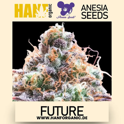 Anesia Seeds - Future 1 Fem