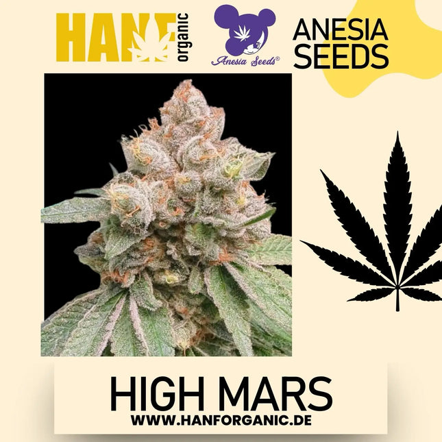 Anesia Seeds - High Mars Fem