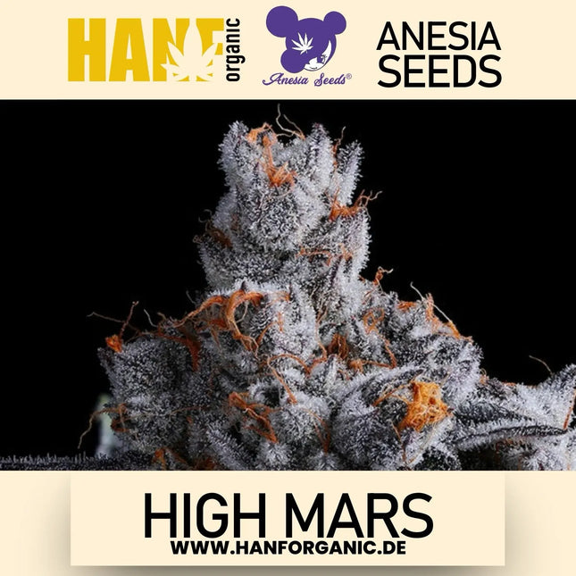 Anesia Seeds - High Mars Fem