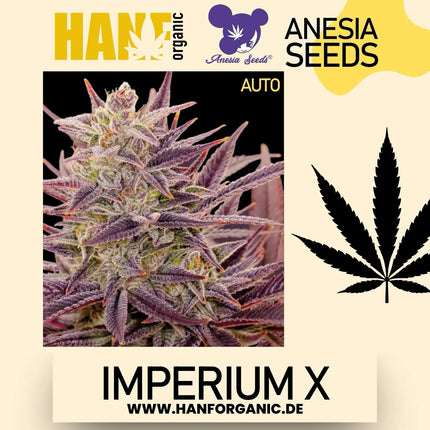 Anesia Seeds - Imperium X Auto