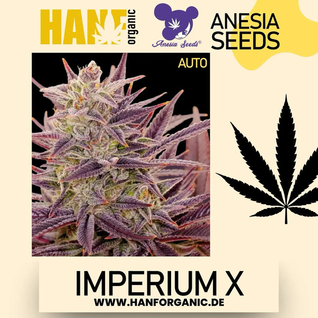 Anesia Seeds - Imperium X Auto