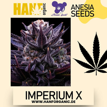 Anesia Seeds - Imperium X Fem