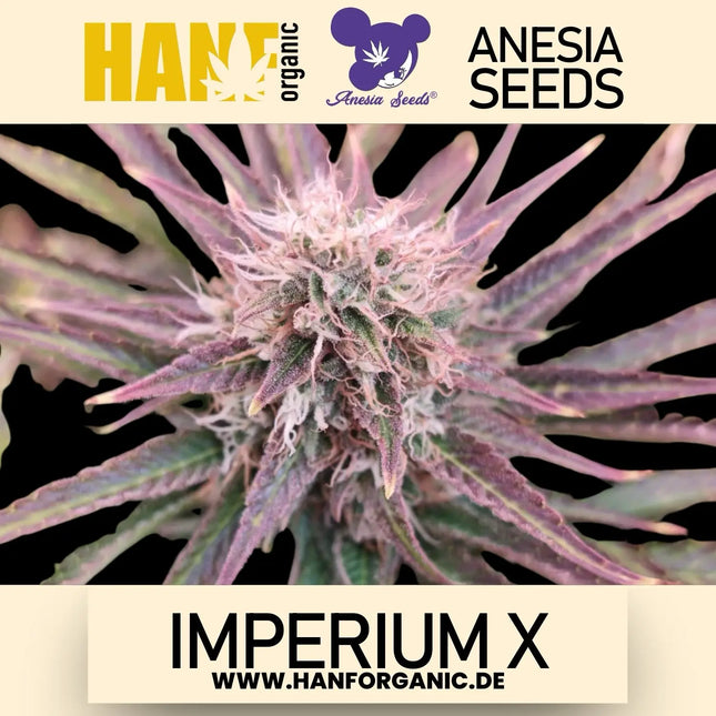 Anesia Seeds - Imperium X Fem