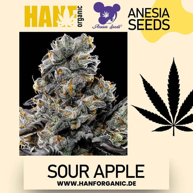 Anesia Seeds – Sour Apple (Feminisiert)