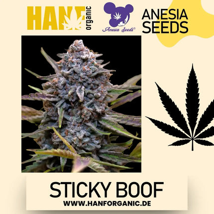 Anesia Seeds - Sticky Boof Fem
