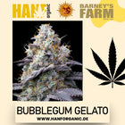 Barney's Farm – Bubblegum Gelato (feminisiert)