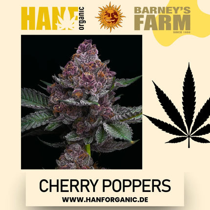 Barney's Farm - Cherry Poppers Fem