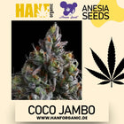 Coco Jambo - Anesia Seeds Fem