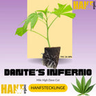 Dante’s Inferno Hanfstecklinge