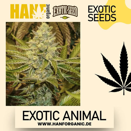 Exotic Seed - Exotic Animal Fem