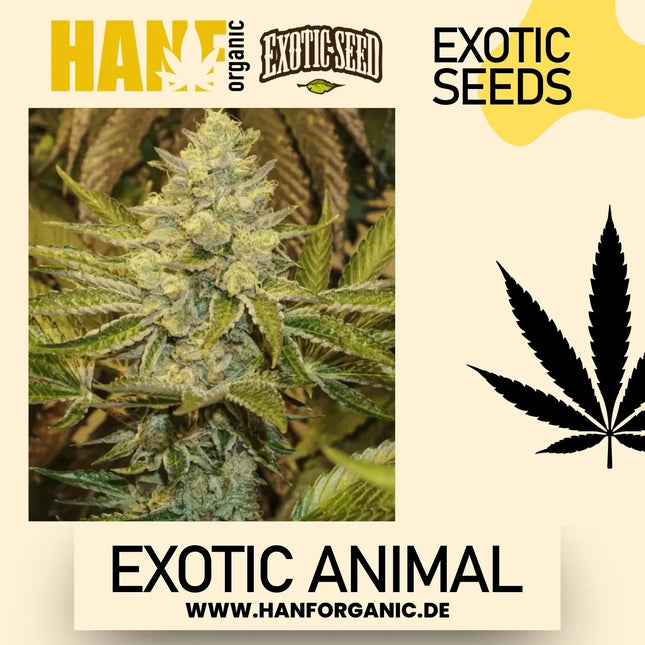 Exotic Seed - Exotic Animal Fem