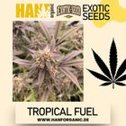 Exotic Seed - Tropical Fuel Fem