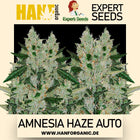Expert Seeds - Amnesia Haze Auto