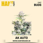 AK Autoflower Hanfsamen von Fast Buds – 3 Samen