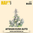Afghan Kush Autoflower Hanfsamen von Fast Buds – 3 Samen
