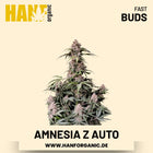 Amnesia Z Autoflower Hanfsamen von Fast Buds – 3 Samen