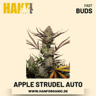 Apple Strudel Autoflower Hanfsamen von Fast Buds – 3 Samen