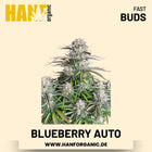 Blueberry Autoflower Hanfsamen von Fast Buds – 3 Samen