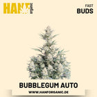 BubbleGum Autoflower Hanfsamen von Fast Buds – 3 Samen