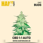 CBD 1:1 CBD-Sorte Hanfsamen von Fast Buds – 5 Samen