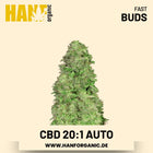CBD 20:1 CBD-Sorte Hanfsamen von Fast Buds – 5 Samen
