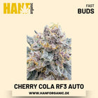 Cherry Cola RF3 Autoflower Hanfsamen von Fast Buds – 3 Samen