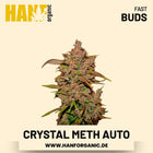 Crystal Meth Autoflower Hanfsamen von Fast Buds – 3 Samen