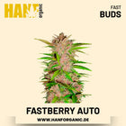 Fastberry Autoflower Hanfsamen von Fast Buds – 3 Samen