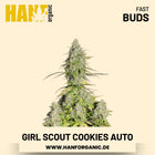 Girl Scout Cookies Autoflower Hanfsamen von Fast Buds – 3 Samen