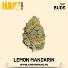 Lemon Mandarin feminisiert Hanfsamen von Fast Buds – 3 Samen