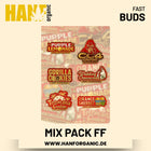 Mix Pack Fast Flowering Hanfsamen von Fast Buds – 5 Samen