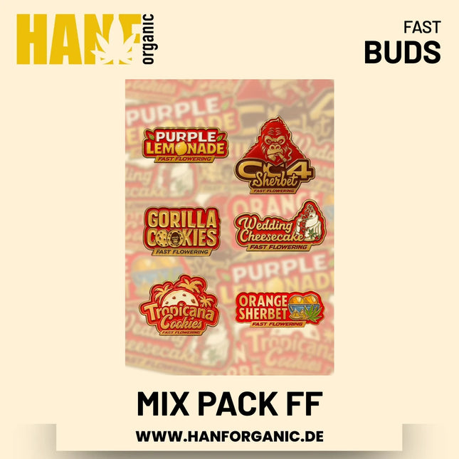 Mix Pack Fast Flowering Hanfsamen von Fast Buds – 5 Samen