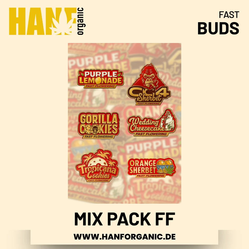 Mix Pack Fast Flowering Hanfsamen von Fast Buds – 5 Samen