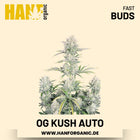 OG Kush Autoflower Hanfsamen von Fast Buds – 3 Samen