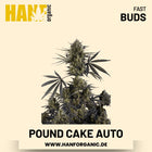 Pound Cake Autoflower Hanfsamen von Fast Buds – 3 Samen