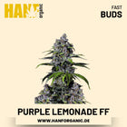 Purple Lemonade Fast Flowering Hanfsamen von Fast Buds – 3 Samen