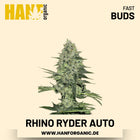 Rhino Ryder Autoflower Hanfsamen von Fast Buds – 3 Samen