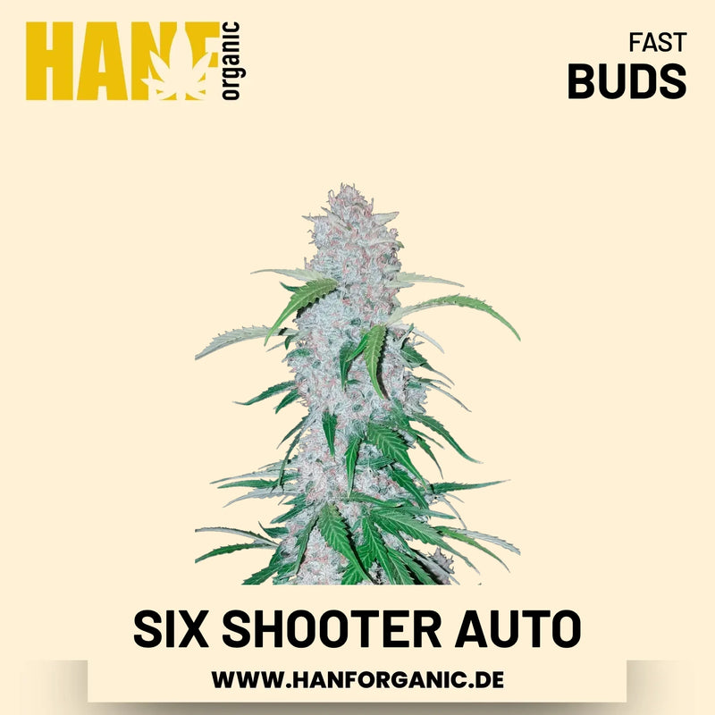Six Shooter Autoflower Hanfsamen von Fast Buds – 3 Samen