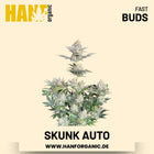 Skunk Autoflower Hanfsamen von Fast Buds – 3 Samen