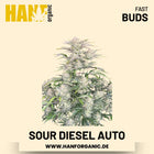 Sour Diesel Autoflower Hanfsamen von Fast Buds – 3 Samen