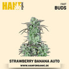 Strawberry Banana Autoflower Hanfsamen von Fast Buds – 3 Samen