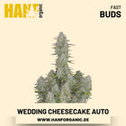 Wedding Cheesecake Autoflower Hanfsamen von Fast Buds – 3 Samen