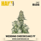 Wedding Cheesecake Fast Flowering Hanfsamen von Fast Buds – 3 Samen