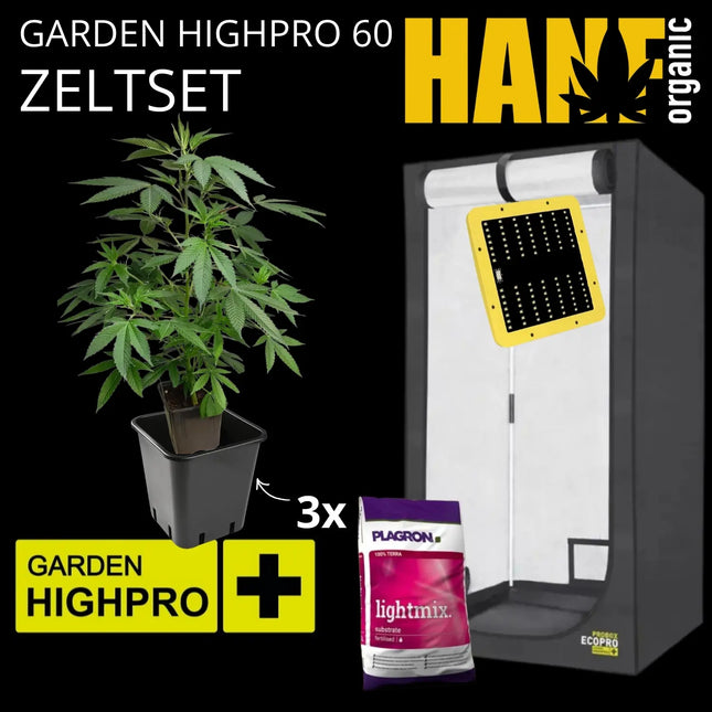 Garden HighPro 60 Growzelt mit LED-Beleuchtung, drei Cannabispflanzen im Topf und Plagron Lightmix – komplettes Indoor-Grow-Zeltset für Anfänger mit Vorgezogene Hanfpflanzen