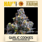 Garlic Cookies - Barneys Farm - Fem