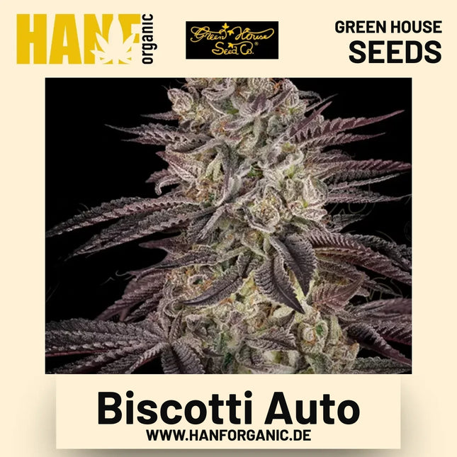 Biscotti Auto Hanfsamen von Green House Seeds